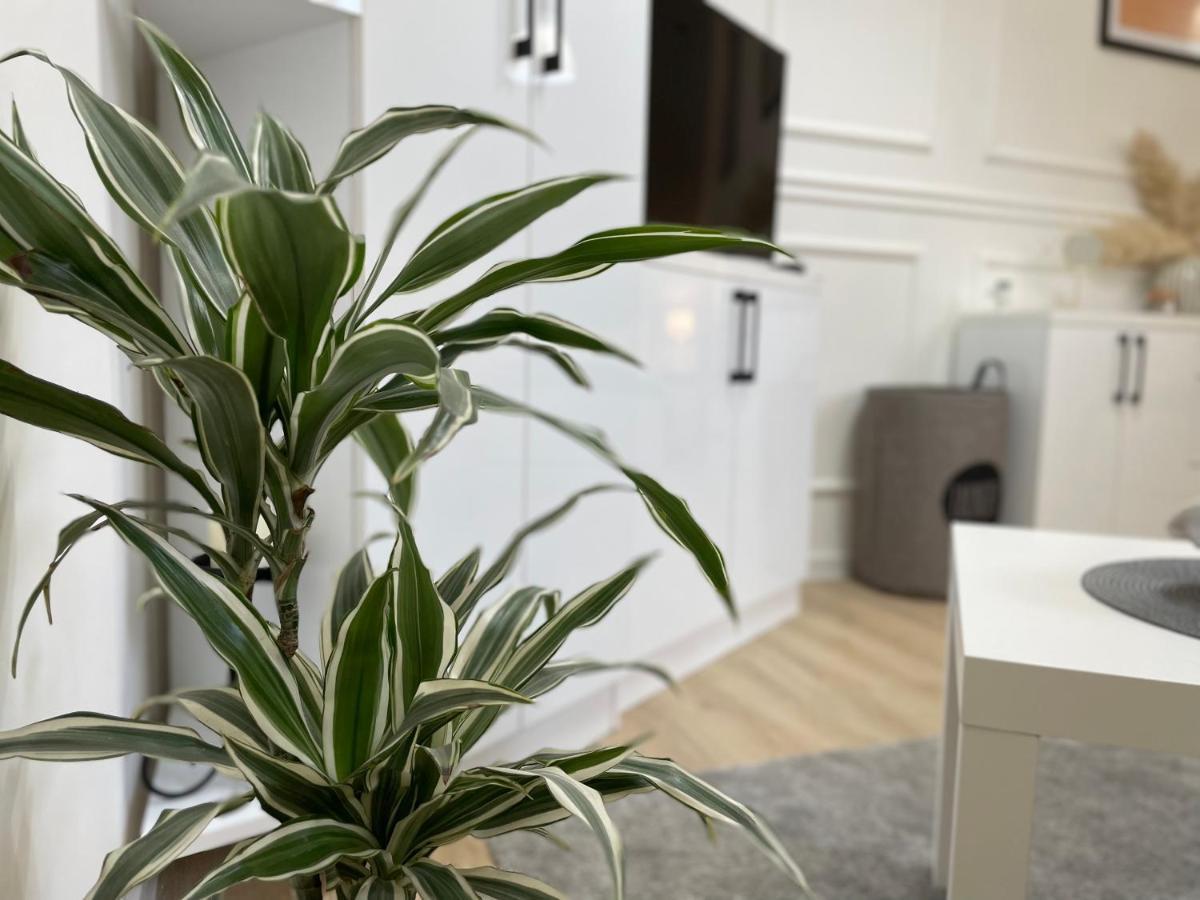 Apartments Tema Zombor Kültér fotó